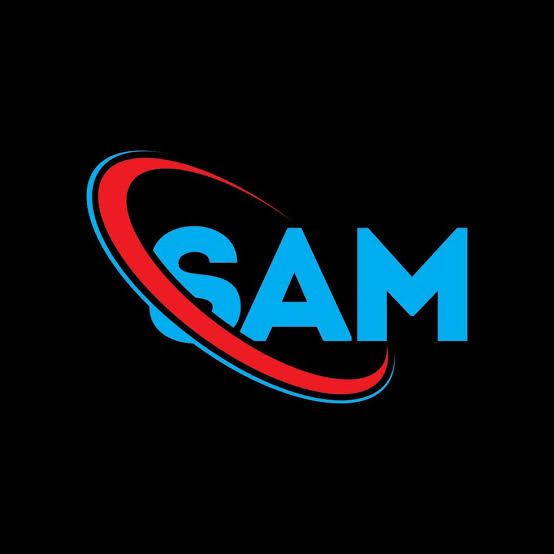 Partner Logo 13
